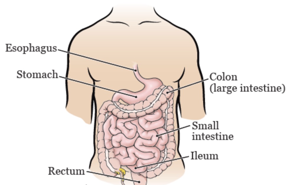 Colon Broom Samples