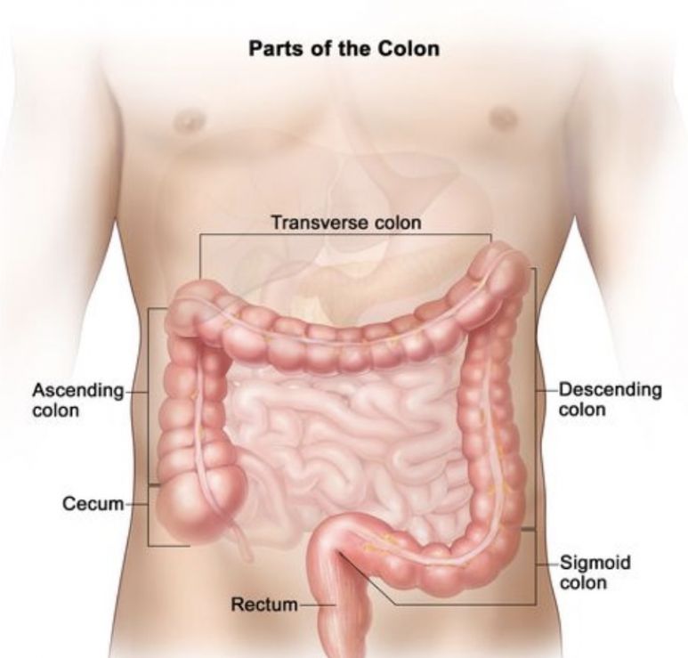 Colon Broom Detox